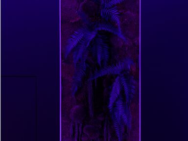 Цветной сценарий