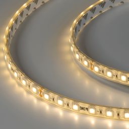 LED lenta 5050, 60 LED/m, 14,4 Vt/m, 24V, IP68, Rang: Iliq oq, SWG560-24-14.4-WW-68-M