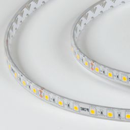 LED lenta 5050, 60 LED/m, 14,4 Vt/m, 24V, IP68, Rang: Iliq oq, SWG560-24-14.4-WW-68-M