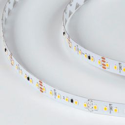 PRO 2835 LED lenta, iliq oq, SWG2P120-CC-24-9.6-WW