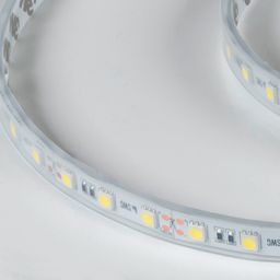 Светодиодная лента  5050, 60 LED/м, 14,4 Вт/м, 12В , IP66, Цвет: Ультра холодный белый, SWG560-12-14.4-UW-66-M