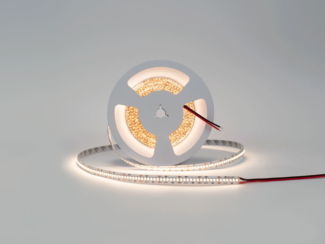 24V LED lenta g‘altagi, iliq oq 3000K