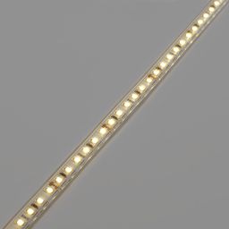 LED lenta 9,6 Vt/m SMD2835 Yopiq (IP66) Iliq, 24V, 3M, SWG2120-24-9.6-WW-66-M