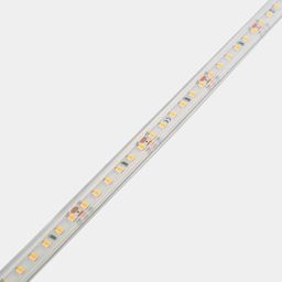 24 V LED lenta, iliq oq, IP65, 9,6 Vt/m, SMD2835, DSG2120-9.6-24-WW3-65