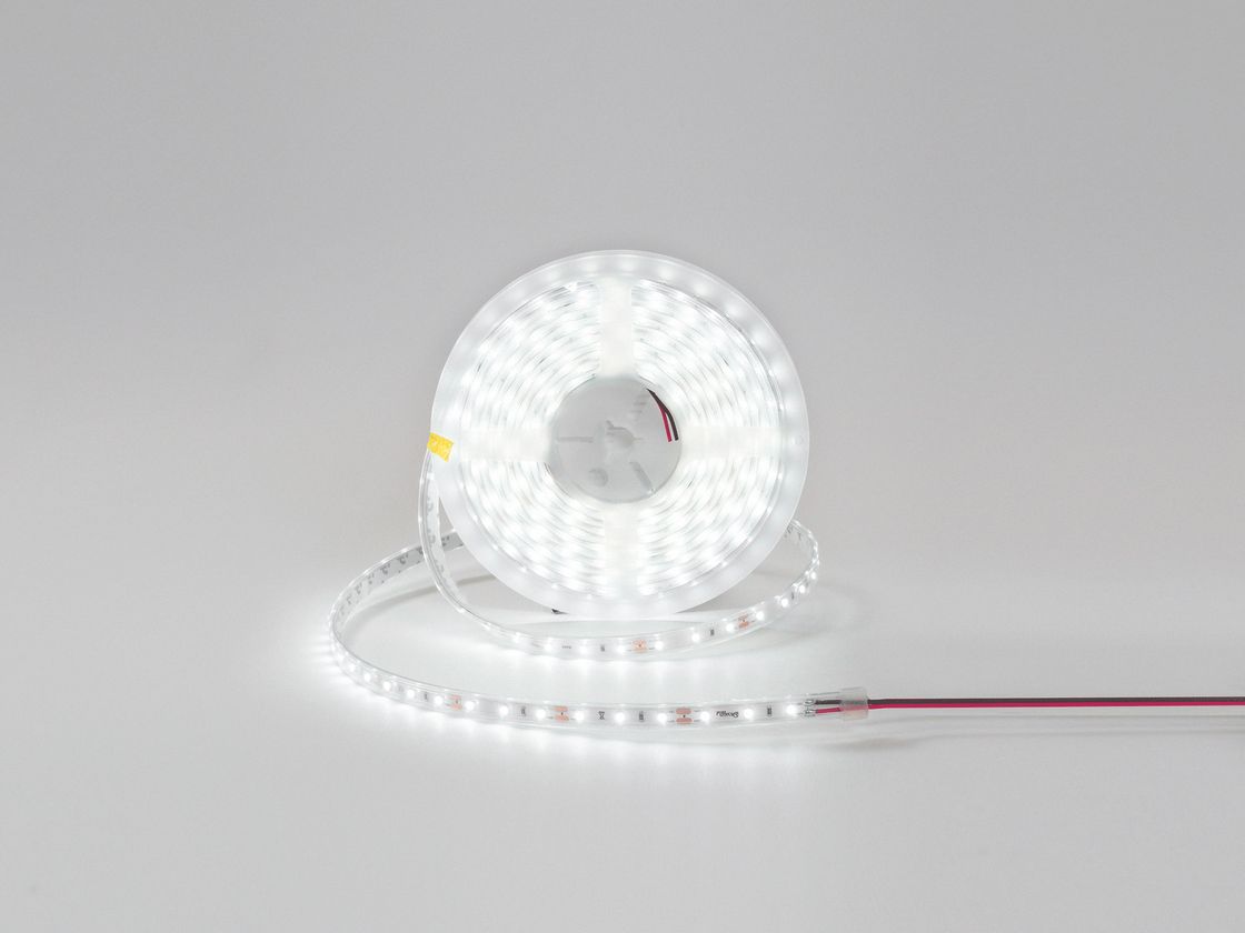 IP65 LED lenta g‘altakda, sovuq oq