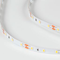 LUX LED lenta 12V neytral yorug‘lik, DSG260-12-NW-33