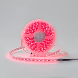 G‘altakdagi RGB LED lenta, qizil rangda yoritish