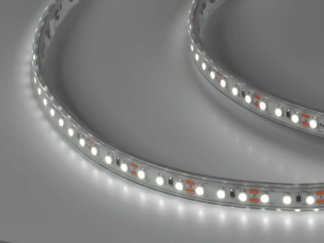12V LED lenta sovuq oq yorug‘lik, DSG3120-12-W-65