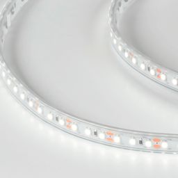 12V LED lenta sovuq oq yorug‘lik, DSG3120-12-W-65