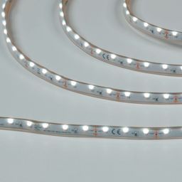 Светодиодная лента  315, 60 LED/м, 4,8 Вт/м, 12В , IP67, Цвет: Холодный белый, SWG31560-12-4.8-W-67