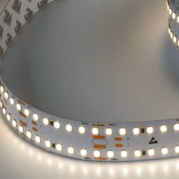 LED yorug‘lik lentasi LUX, neytral yorug‘lik, DSG2280V2-24-NW-33