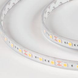 LUX LED lenta, 5050, 60 LED/m, 14,4 Vt/m, 12V, IP65, Neytral oq (4000K), DSG560-12-NW-65