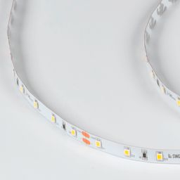 Светодиодная лента SWG PRO 2835, 60 LED/м, 4,8 Вт/м, 24В , IP20, Цвет: Нейтральный белый, SWG2P60-24-4.8-NW