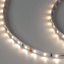 SWG PRO 2835 LED lenta, 60 LED/m, 4,8 Vt/m, 24V, IP20, Rang: Neytral oq, SWG2P60-24-4.8-NW