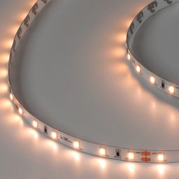 SWG PRO 2835 LED lenta, 60 LED/m, 4,8 Vt/m, 24V, IP20, Rang: Iliq oq, SWG2P60-24-4.8-WW