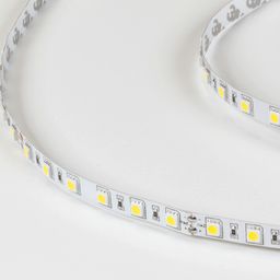 Светодиодная лента  5050, 60 LED/м, 14,4 Вт/м, 24В , IP20, Цвет: Холодный белый, SWG560-24-14.4-W-М