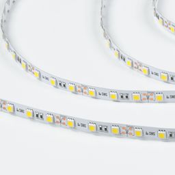 Светодиодная лента SWG SMD5050, вид сверху, 12В