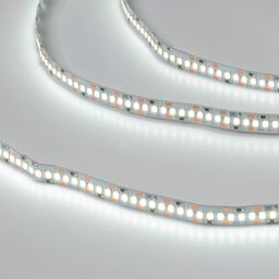 Светодиодная лента  2835, 204 LED/м, 22 Вт/м, 12В , IP20, Цвет: Холодный белый, SWG2204-12-22-W-М