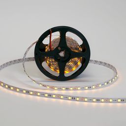 LED lenta 5050, 60 LED/m, 14,4 Vt/m, 12V, IP20, Rang: Sariq, SWG560-12-14.4-Y-M