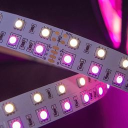 SMD5050 RGBW LED lenta bo‘lagi, yorug‘lik diodlari yaqin planda